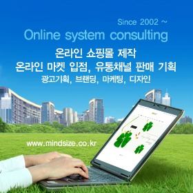 online system consulting
